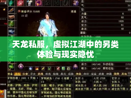 天龙私服，虚拟江湖中的另类体验与现实隐忧