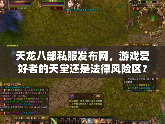 天龙八部私服发布网，游戏爱好者的天堂还是法律风险区？