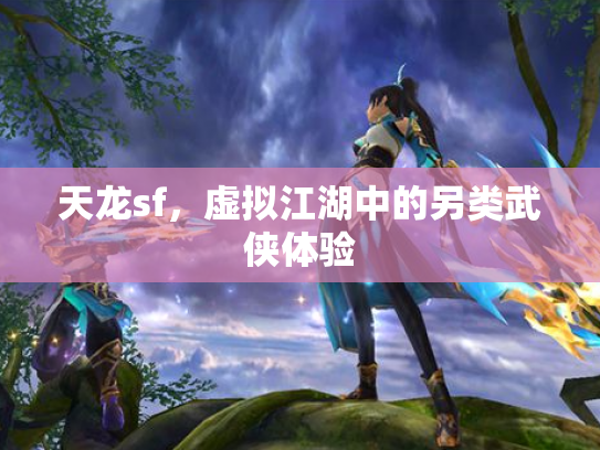 天龙sf，虚拟江湖中的另类武侠体验