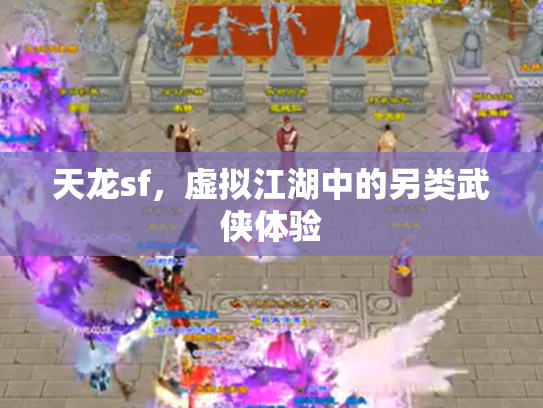 天龙sf，虚拟江湖中的另类武侠体验