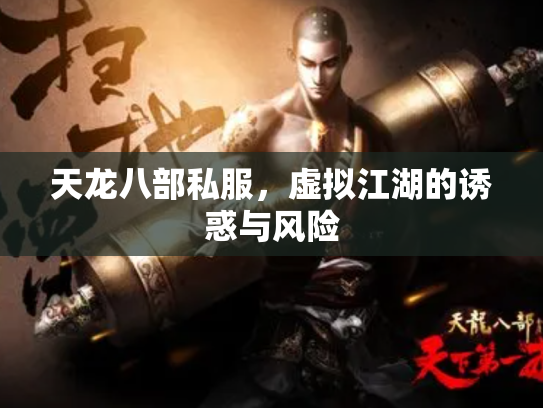 天龙八部私服，虚拟江湖的诱惑与风险