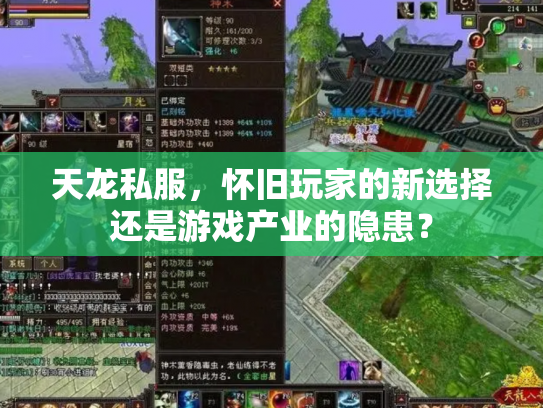 天龙私服，怀旧玩家的新选择还是游戏产业的隐患？