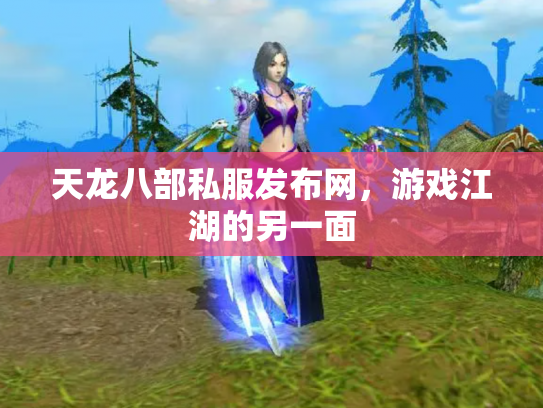 天龙八部私服发布网，游戏江湖的另一面