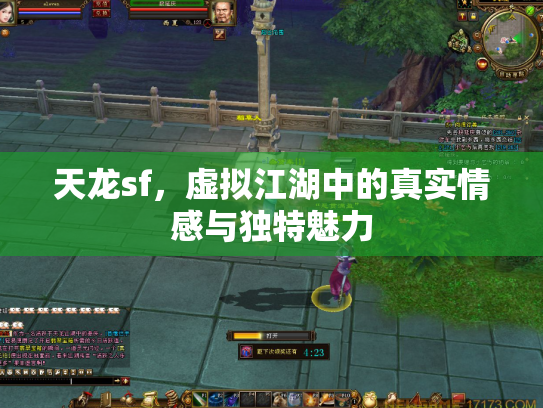 天龙sf，虚拟江湖中的真实情感与独特魅力