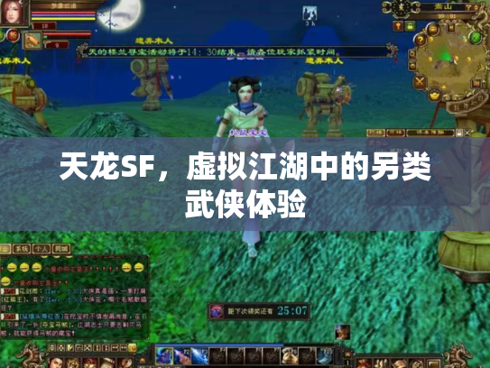 天龙SF，虚拟江湖中的另类武侠体验