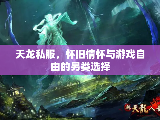 天龙私服，怀旧情怀与游戏自由的另类选择