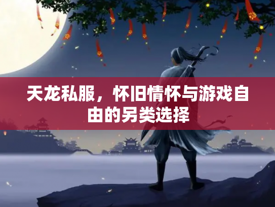 天龙私服，怀旧情怀与游戏自由的另类选择