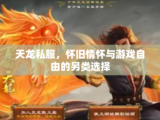 天龙私服，怀旧情怀与游戏自由的另类选择