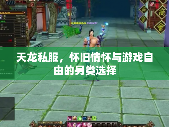 天龙私服，怀旧情怀与游戏自由的另类选择