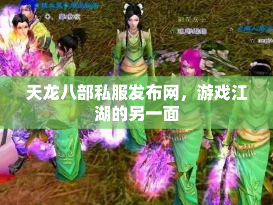 天龙八部私服发布网，游戏江湖的另一面