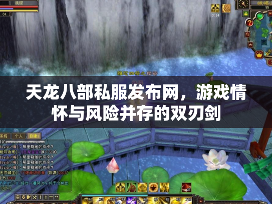 天龙八部私服发布网，游戏情怀与风险并存的双刃剑