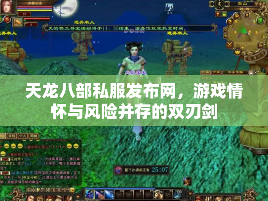 天龙八部私服发布网，游戏情怀与风险并存的双刃剑