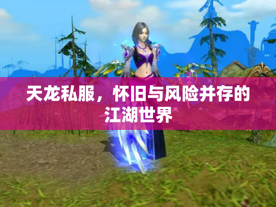 天龙私服，怀旧与风险并存的江湖世界