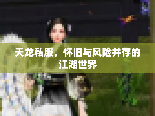 天龙私服，怀旧与风险并存的江湖世界