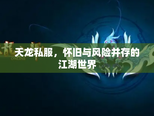 天龙私服，怀旧与风险并存的江湖世界