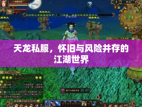 天龙私服，怀旧与风险并存的江湖世界