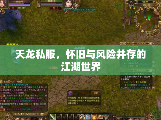 天龙私服，怀旧与风险并存的江湖世界
