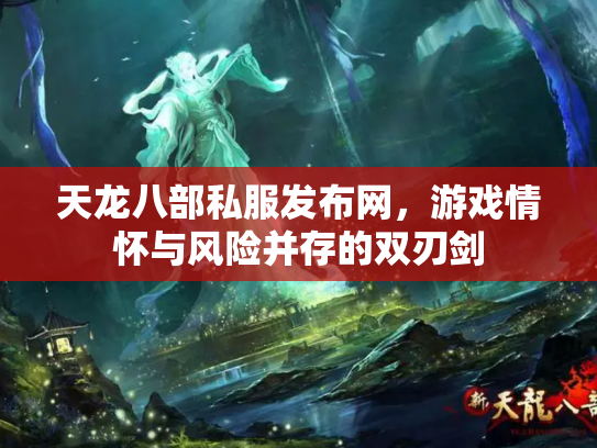 天龙八部私服发布网，游戏情怀与风险并存的双刃剑