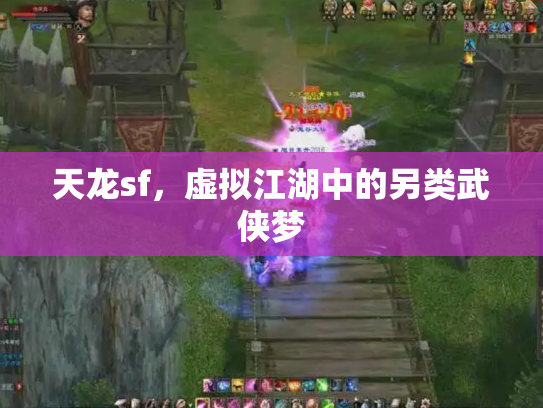 天龙sf，虚拟江湖中的另类武侠梦