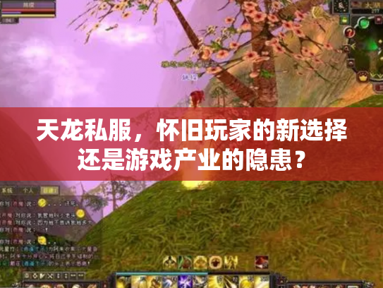 天龙私服，怀旧玩家的新选择还是游戏产业的隐患？
