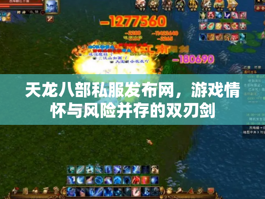 天龙八部私服发布网，游戏情怀与风险并存的双刃剑