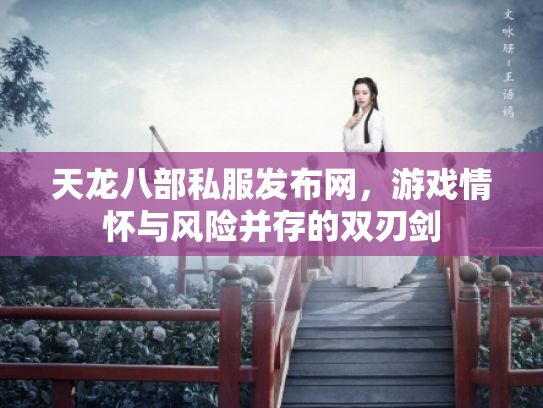 天龙八部私服发布网，游戏情怀与风险并存的双刃剑