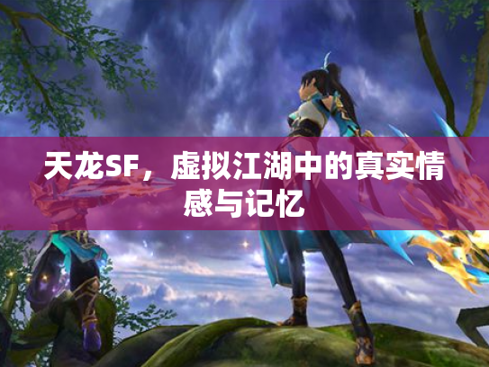 天龙SF，虚拟江湖中的真实情感与记忆
