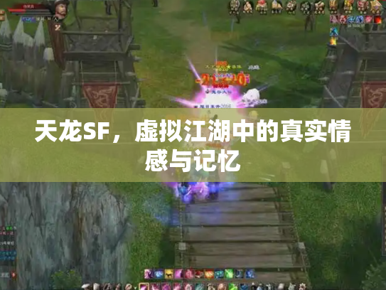天龙SF，虚拟江湖中的真实情感与记忆