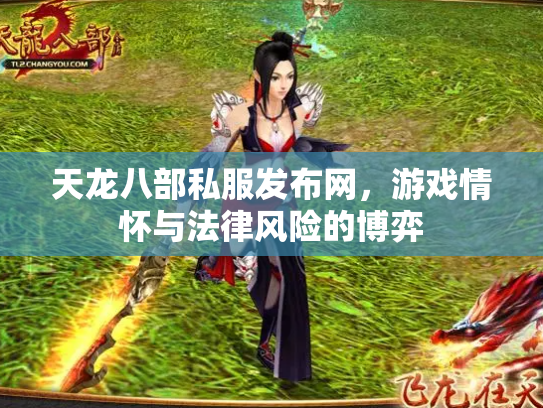 天龙八部私服发布网，游戏情怀与法律风险的博弈