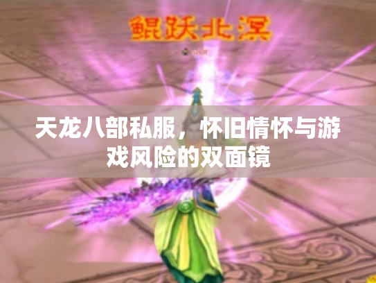 天龙八部私服，怀旧情怀与游戏风险的双面镜