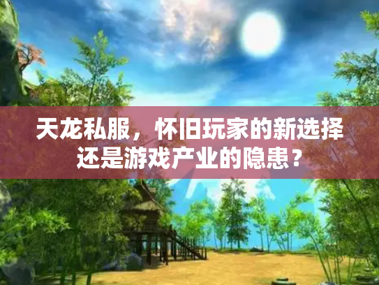 天龙私服，怀旧玩家的新选择还是游戏产业的隐患？
