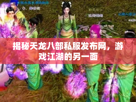 揭秘天龙八部私服发布网，游戏江湖的另一面
