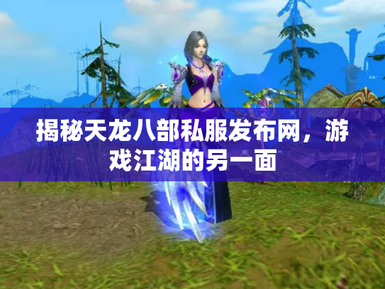 揭秘天龙八部私服发布网，游戏江湖的另一面