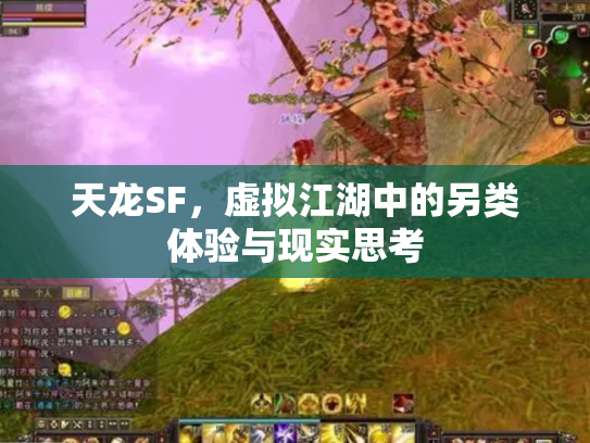 天龙SF，虚拟江湖中的另类体验与现实思考