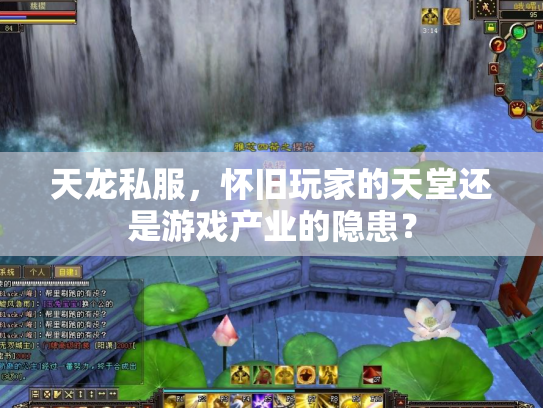 天龙私服，怀旧玩家的天堂还是游戏产业的隐患？