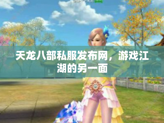 天龙八部私服发布网，游戏江湖的另一面