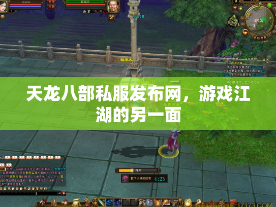 天龙八部私服发布网，游戏江湖的另一面