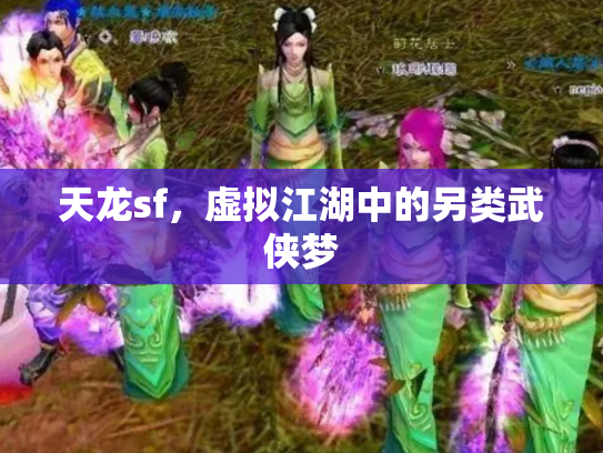 天龙sf，虚拟江湖中的另类武侠梦