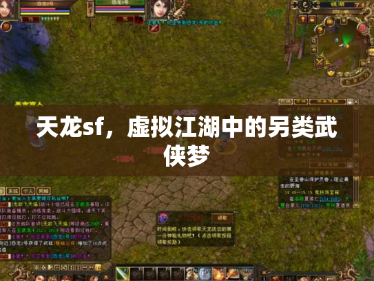 天龙sf，虚拟江湖中的另类武侠梦