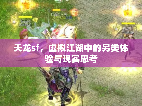 天龙sf，虚拟江湖中的另类体验与现实思考