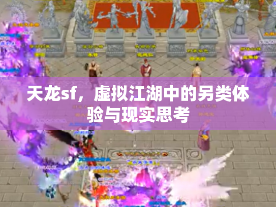 天龙sf，虚拟江湖中的另类体验与现实思考