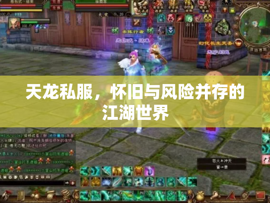 天龙私服，怀旧与风险并存的江湖世界