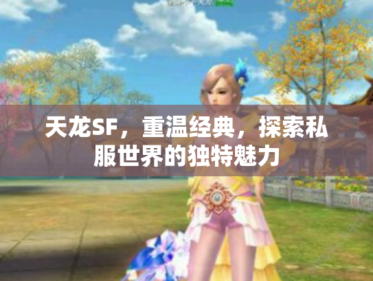 天龙SF，重温经典，探索私服世界的独特魅力