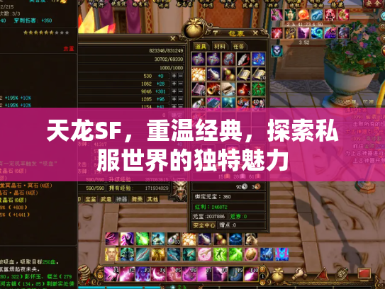 天龙SF，重温经典，探索私服世界的独特魅力