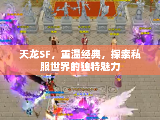 天龙SF，重温经典，探索私服世界的独特魅力