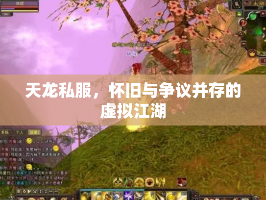 天龙私服，怀旧与争议并存的虚拟江湖
