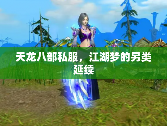 天龙八部私服，江湖梦的另类延续