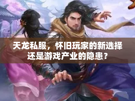 天龙私服，怀旧玩家的新选择还是游戏产业的隐患？