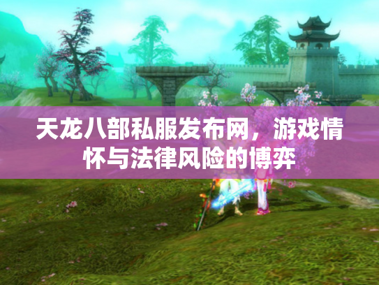 天龙八部私服发布网，游戏情怀与法律风险的博弈