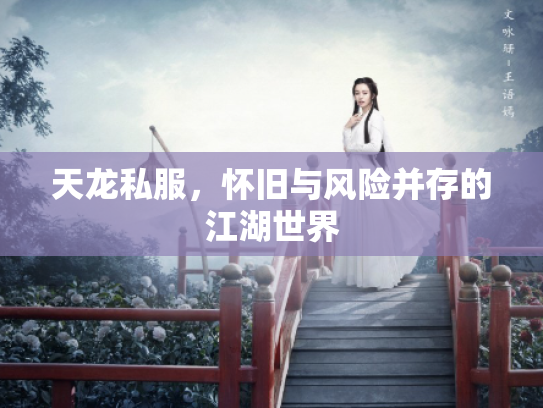 天龙私服，怀旧与风险并存的江湖世界